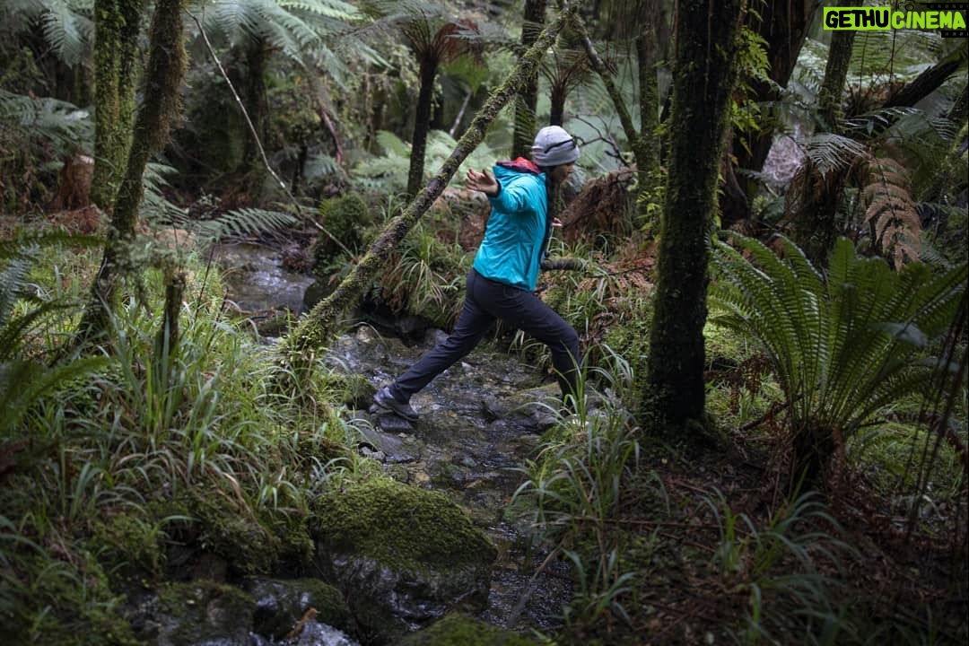 Joy Bryant - 2.6K Likes - I took one step and froze. “I can’t do it.”
.
.
.
We were halfway through a beautiful 6 mile hike where the biggest challenge was keeping our feet dry while crossing a stream. Now I’m on a survival course that wasn’t on the itinerary.
.
.
.
Just a few minutes before, after watching @adavecalledyeti and @eliza_earle cruise across the wire bridge, I thought, “Yeah, I got this.” I have good balance. I’m good. .
.
.
But all of that confidence floated down the river once I climbed up onto the bridge, saw the river below, and looked out to the other side. It was way sketchier, higher, and longer than it appeared from the ground. .
.
.
I tried to breathe the fear away but all I could think about was slipping off the wire and falling onto the rocks as the river carried me away. .
.
.
“Is there another way across,” I ask #EddieBauer guide @carolinegeorge and our #NewZealand guide Bob. They look at each other and don’t even bother to answer the question, but offer an encouraging, “You can do it,” instead.
.
.
.
I look across the bridge and down below again. I try to lift my foot, but it’s stuck. “No, really, I can’t!”
.
.
.
“I’ll do it with you,” says Caroline before climbing up the ladder to join me on the bridge.“We’re going to do this together. One step at a time. One breathe at time.” And that’s what we did. .
.
.
With Caroline’s help, I was able to focus on my steps and breathe, and not my ‘death by river rocks’. And before I knew it, I was cruising too.
.
.
.
I made it across triumphant, and sent my fears down the river.
#LiveYourAdventure
@eddiebauer
@ihprteam
@newzeal2015
📸 @eliza_earle
#EBPartner