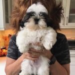 Joy Behar Instagram - My dog, Bernie (ahem, Sanders) believes in universal single payer veterinary care for all animals. He now has an Instagram- go follow him!! @berniebehar