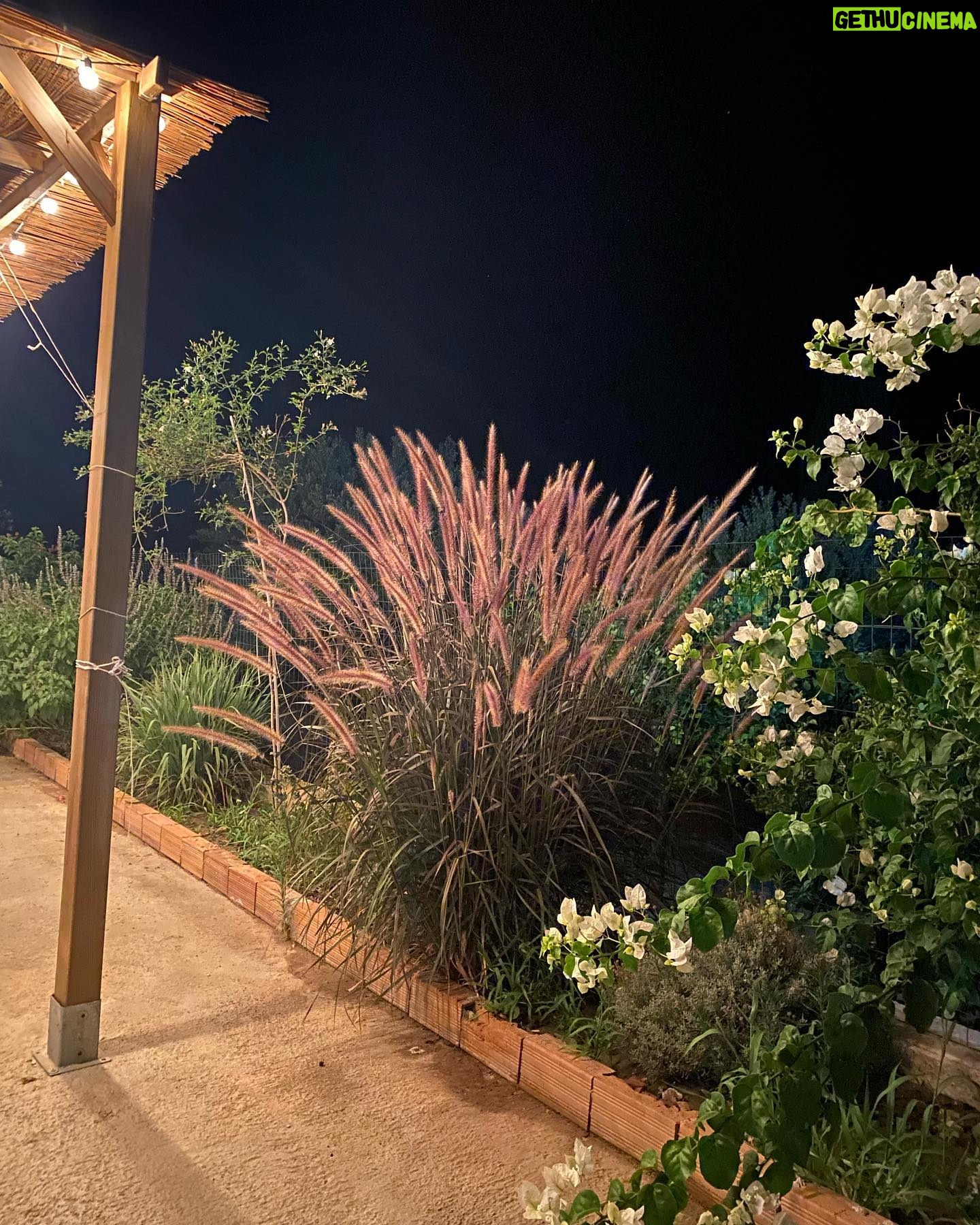 Joy Esther - 3 Likes - Estate 23 ☀️🏝️♥️