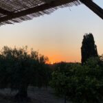 Joy Esther Instagram - L’été 2022 🤍☀️ fût chaud, simple, tranquille, beau 🥰 #estate2022 #casa #ramdompic #myhappyplace #siciliabella
