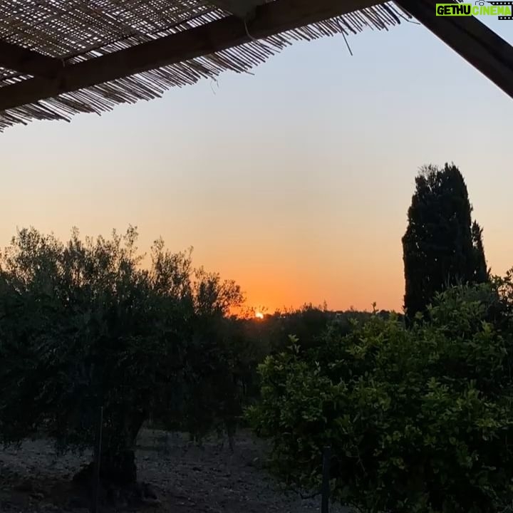 Joy Esther - 3 Likes - L’été 2022 🤍☀️ fût chaud, simple, tranquille, beau 🥰
#estate2022 #casa #ramdompic #myhappyplace #siciliabella