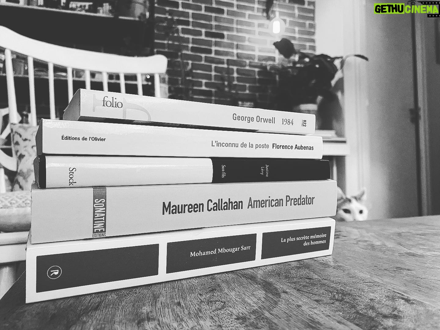 Joy Esther Instagram - Ma sélection pour ces prochaines semaines 📚 #book #reading #1984georgeorwell #linconnudelaposteflorenceaubenas #sonfilsjustinelevy #americanpredatormaureencallahan #laplussecretememoiredeshommesmohamedmbougarsarr #passionlecture