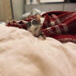 Joy Esther Instagram - ♥️ amour de ma vie