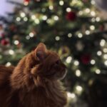 Joy Esther Instagram -