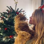 Joy Esther Instagram - Aaaaah ouiiiiii 🎄❤️ Mes amours de toute ma vie. Mes deux chats et j’oublie pas mon Willy ✨