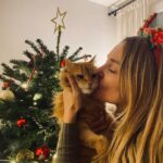 Joy Esther Instagram - Aaaaah ouiiiiii 🎄❤️ Mes amours de toute ma vie. Mes deux chats et j’oublie pas mon Willy ✨