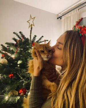Joy Esther Instagram - Aaaaah ouiiiiii 🎄❤️ 
Mes amours de toute ma vie. Mes deux chats et j’oublie pas mon Willy ✨