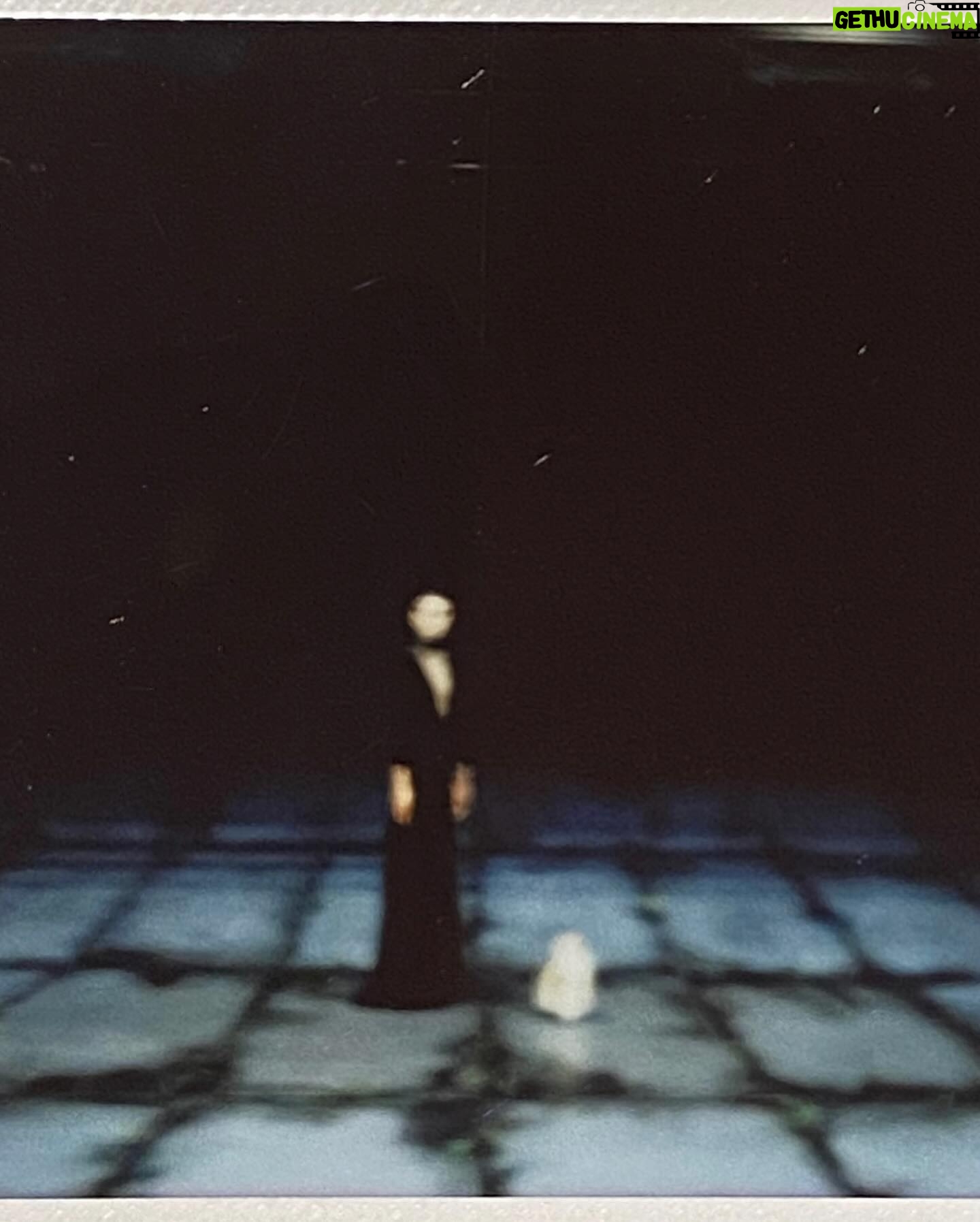 Juana del Río Instagram - Medea no sólo me liberó. Me recordó quién era. Encontré en ella un reflejo de mis oscuridades y rarezas. Y al sentirme acompañada de esa manera, sentí que pertenecía a algo más grande que yo. A Medea, al final, el Sol viene por ella. La ilumina, la perdona, la felicita y se la lleva. Es el honor máximo. Y sentí con ella que el Sol nos recogía. Cuando hablo de Medea, me refiero al personaje, pero también a la obra, a @jimmyrangel_ y al equipo tremendo con el que tuve el honor solar de trabajar. Encontré en ustedes nuevos afectos y lazos inquebrantables, de esos que sólo se crean en lo vulnerable. Gracias a todos los que hicieron esto posible. Gracias a todos los que fueron a acompañarnos y que agotaron completamente la boletería. @eneldelia 🦇 Medea me dejó una herida profunda. Una herida sanadora y oscura que espero nunca se cierre. La portada de esta publicación, creada en colaboración con @nicolas.caballero.arenas y su maestría de la IA, la tengo hace rato. No había querido subirla por las reacciones extremas que suelen generar en algunos este tipo de imágenes. Pero con Medea aprendí que la vida viene en contradicciones. En la luz hay oscuridad y viceversa. Gracias a Medea, hoy me abrazo. En una tina. Llena de sangre. Ja. 🦇