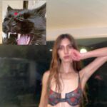 Juana del Río Instagram - La mayoría de estas fotos fueron tomadas después de las 2 am. Tiempo en el que usualmente acaba nuestro tiempo de escritura. Pronto tendremos que entregar. Aquí entonces dejamos un rastro de esas noches para que cuando tengamos el placer de ver esas historias vivas, recordemos que mientras las escribíamos tomábamos fotos para calmar el miedo que produce decidir sobre vidas imaginadas. 🦇