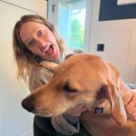 Judy Greer Instagram - Please never tell Mary I pet every dog I see. Thank god she doesn’t have access to the internet… but I still think she knows.