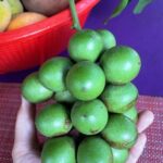 Judy Joo Instagram – Ever tried Guinep? It’s not just lychee-like in taste – it’s an experience in itself, especially when you learn how to enjoy it.

Guinep, also known as ‘Spanish lime’ or ‘mamoncillo’, is rich in Vitamin C. Traditionally, it’s eaten by cracking the thin outer skin and sucking on the juicy pulp inside. But be cautious; while the pulp is delectably sweet, the inner seed shouldn’t be consumed.

Big thanks to @fionasims for capturing my tutorial
•
(No makeup, no filter, funny hat, nerdy glasses, pajama top, big smile!! #real)
•
•
#chef #foodie #cooking #foodlove #foodart #foodblog #foodculture #delish #foodiegram #instafood #NevisTreats #Guinep #CaribbeanFlavors #NevisNature #fruit