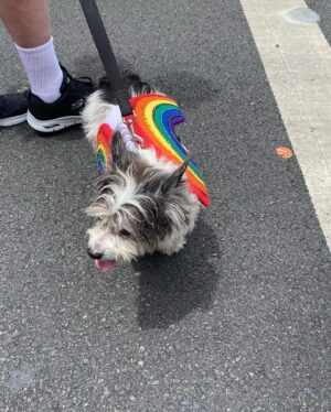 Judy Reyes Instagram - Pride is for EVERYONE.  LOVE IS LOVE. #wehopride #happypridemonth🌈