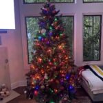 Judy Reyes Instagram - All color, all the time!🎄🎄🎄