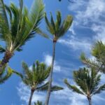 Judy Reyes Instagram - Se acabaron las vacaciones!😜 Thank you, Oahu. Thank you, family♥️. What a magnificent paradise. What a joyful holiday. ✊🏽👑🤎🐢🐬