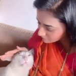 Jui Gadkari Instagram - Animals are god sent angels!!! Do u agree??? Met this bokoba at the beach house yesterday and he just didnt leave me for a minute! Animals know everything… they can sense who loves them! #juigadkari #sayali #ttm #animal #lover #cat #catsofinstagram
