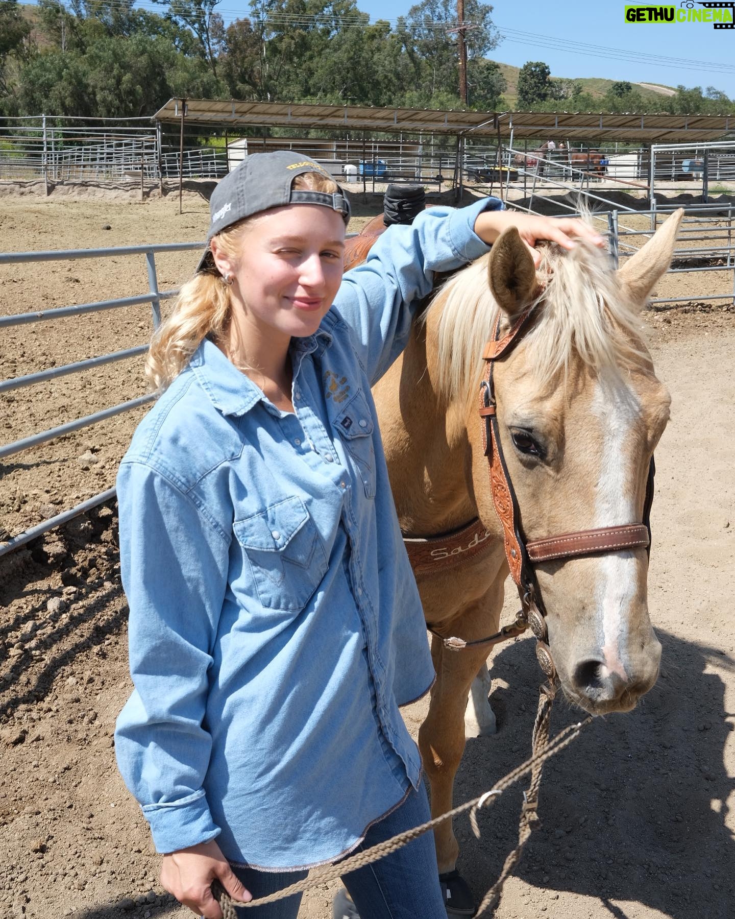 Julia Schlaepfer - 10.7K Likes - Horse girl content 😎🐎