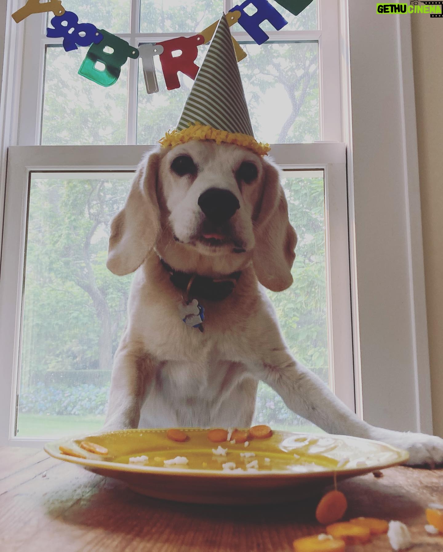 Julia Stegner - 3.4K Likes - I am so beyond grateful to be celebrating Kasperās 11th Birthday today. A year ago we werenāt sure if heād still be around. Fortunately he pulled through and is going strong. This guy makes everything better. Every single day with him is a blessing. Kasper I love you more than words could ever do it justice. Happy Birthday buddy ā¤ļø