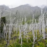 Julia Quinn Instagram - 10 mile hike in Patagonia. So beautiful, but I was not quite up to the task—took me two full days to (mostly) recover! I was STAGGERING at the end. My legs still hurt…
