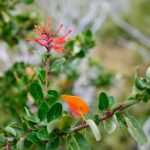 Julia Quinn Instagram - 10 mile hike in Patagonia. So beautiful, but I was not quite up to the task—took me two full days to (mostly) recover! I was STAGGERING at the end. My legs still hurt…