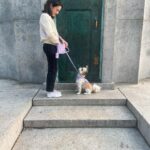 Julia Rehwald Instagram – 10 months later & im excited to finally introduce my little Biko !!! thank you @heartsandbonesrescue for rescuing him and bringing us together & thank you to @wildone for making sure he always stays so handsome and stylish 💅