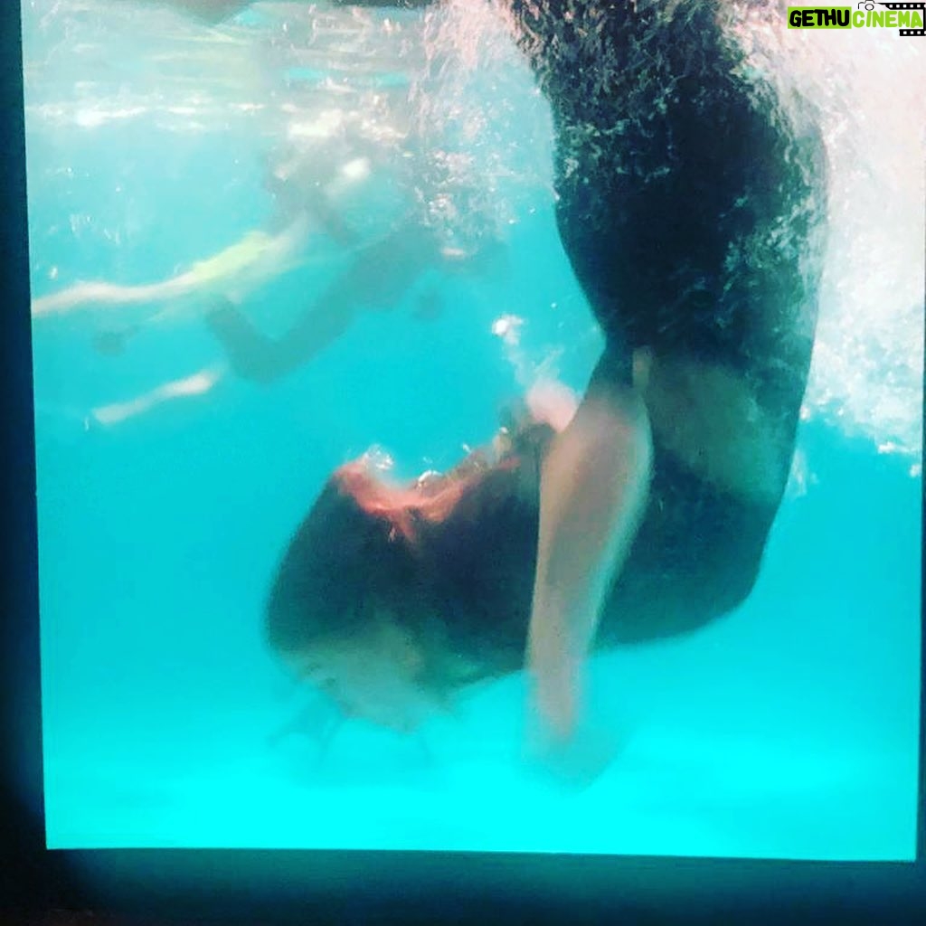 Julia Stiles - 14.9K Likes - Georgina finds herself in hot water again. Season 3 Riviera @skyatlanticuk #underwaterphotography