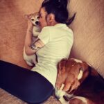 Julia Volkova Instagram - Мои самые любимые,настоящие,верные,преданные❤️ с ними можно все и не страшно ничего💃🏻 #шелтон #вива #сидимдома #карантин