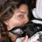 Juliana Harkavy Instagram - SAG Strike Day 3: Wrote my dog a lullaby. Use this sound with your cow! 🐮💕 #sagstrike #staystrong #staybusy #actorslife #keepcreating #cattledogsofinstagram #pitbullmix #cattledoglove #lullaby #comedyreels #cutereels #dogreel #dogs #trendingaudio #songwriter #cattledogmix #cattledogs #doglover #bedtimesongs #cowsong #cutedogsofinstagram #cutedog #dogmom #dogmomsofinstagram #puppiesofinstagram #cutesongs #mybaby #furbabies #adoptdontshop #moothedog