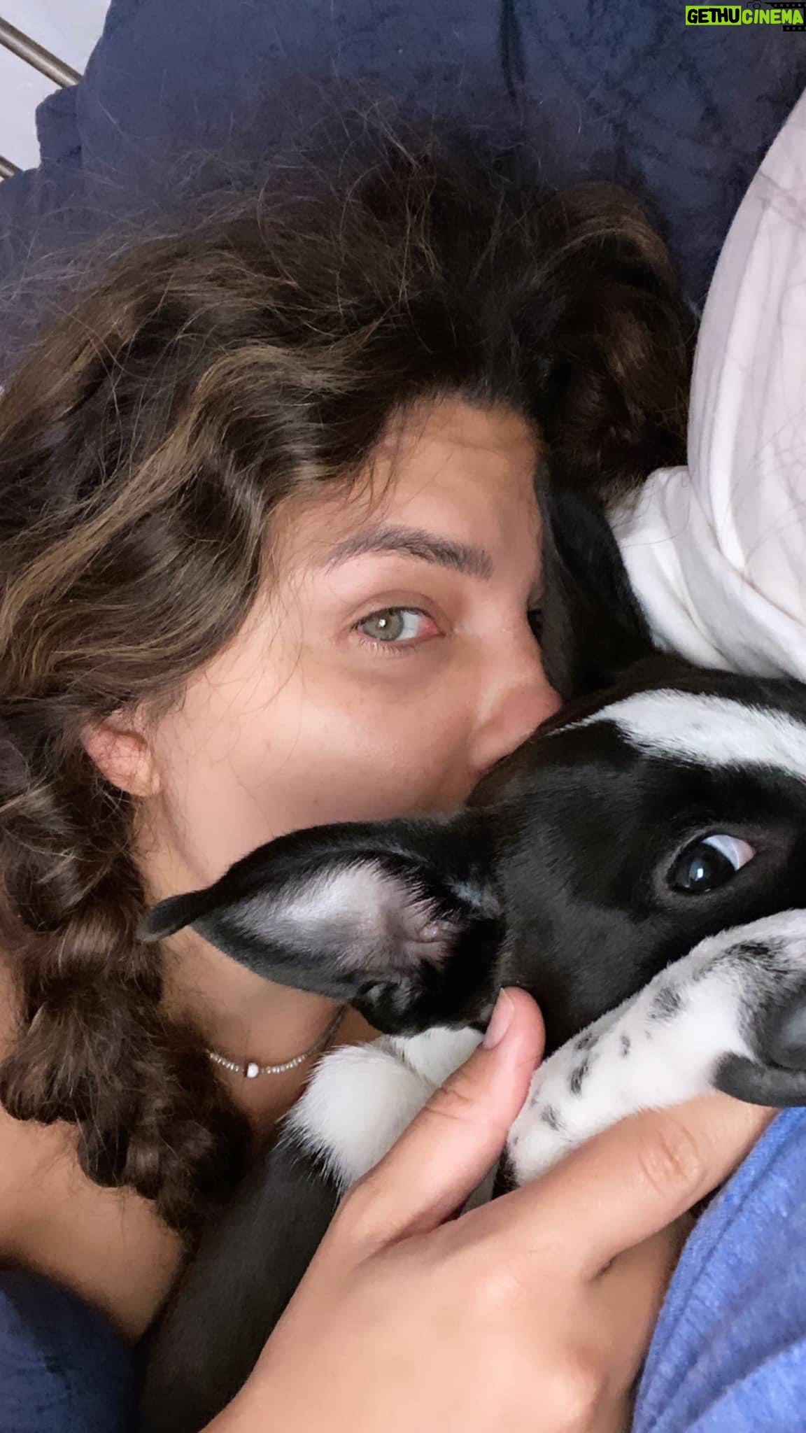Juliana Harkavy Instagram - SAG Strike Day 3: Wrote my dog a lullaby. Use this sound with your cow! ๐ฎ๐ #sagstrike #staystrong #staybusy #actorslife #keepcreating #cattledogsofinstagram #pitbullmix #cattledoglove #lullaby #comedyreels #cutereels #dogreel #dogs #trendingaudio #songwriter #cattledogmix #cattledogs #doglover #bedtimesongs #cowsong #cutedogsofinstagram #cutedog #dogmom #dogmomsofinstagram #puppiesofinstagram #cutesongs #mybaby #furbabies #adoptdontshop #moothedog
