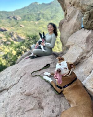 Juliana Harkavy Instagram - Family hike photo dump! 💞🥾🐾

#californiahiking #losangeleshiking #topangacanyon #hike #doghiking #getoutside #nature #canyonhike #adventures #hikingtrail #lahiking #californiaadventure