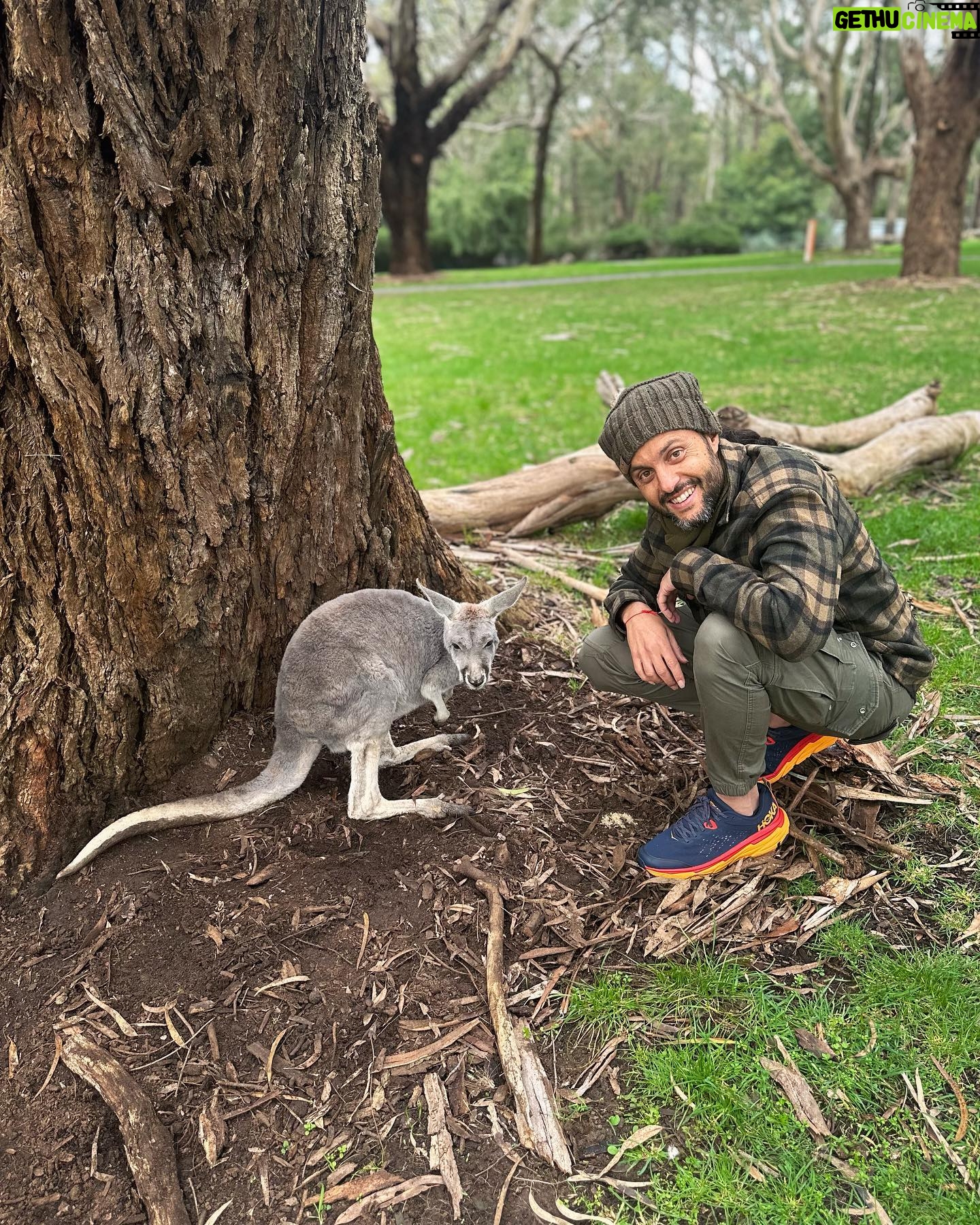 Juliana Harkavy Instagram - Adelaide photo dump! π¦πΊπ¦ What a lovely little city. Everything in Adelaide, AU is a 20 minute walk apart.πΆπ½ββοΈShe's surrounded by parks π³π¦, botanical gardens π·, rolling hills ποΈ, and is an hour-and- a-half drive from exquisite wine country ππ, through which we biked π², visited cellar doors π·, and ate one of the most memorable meals of our life at the @watervalehotel in Clare Valley. π€π½ (The ceviche with homemade mint sorbet could be described as life changing). π±ππ§ Adelaide hosts my all-time-favorite market, @adelcentralmarket π brimmming with heavenly flowers π, goods βοΈ, food π¦ͺ, and excellent coffee βοΈ. Cocktails at @apoteca__ πΈ and an 8 course dinner at @herringbone.adl π were two all-time culinary highlights. To top it off, the new friends we made at @ozcomiccon were the perfect company to this little gem of a city. π₯° I look forward to returning one day. π What are your favorite cities? πΊοΈπ #Adelaide #adelaidefood #ozcomiccon #australia #australiagram #kangaroo #koala #australiatravel #travelgram #travelphotography #placestovisit #placestogo #Aussie #adelaideeats #wanderlust #traveltheworld #travelguide #thingstodoinaustralia #clarevalley #reislingtrail #loveletter #travelblog #animalsanctuary #naturelovers #beautifuldestinations #bucketlisttravel #bucketlist #seetheworld #getoutside #traveltheworld #eattheworld