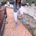 Juliana Harkavy Instagram - Back by popular demand, another day in the canyon with Jemima Mae and Jenkins. Meow!!! 🏜️🤠 #funny #funnyvideos #coupleshumor #relationshipgoals #relationshiphumor #marriedlife #marriedhumor #nowlistenhere #jemimamae #jenkins #canyonlife #funnyreels #laughsfordays #californialiving #countrylife #countrygirl #countryfashion #humor #comedy #comedyreels #canyoning #relationshipgoals #laughmore #rusticliving #adviceoftheday #southernhospitality #naturelovers #outdoorliving #satire #bushcraft #laughoftheday
