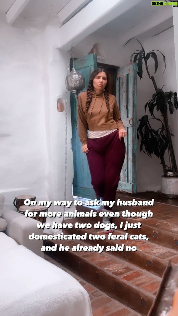 Juliana Harkavy Instagram - Eggs are expensive we need chickens. 😇 #animallovers #animaladdicts #funny #comedyreels #couplescomedy #marriage #relationshipmemes #doglovers #catlovers #dogsofinstagram #catsofinstagram #husbandwifecomedy #relatable #sendthistoyourboyfriend #strutting #animalmemes #laughdaily #funnymemes #petlover #petmom #adoptdontshop #dogmom #neverenough #animalfriends #funnyvideos #dogmomproblems #animalsareawesome #petstagram #marriedlife💍