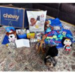 Julianna Peña Instagram - Thank you @chewy for the #carepackage for lil #groot! He can’t wait to get into his new @marthastewart #dogfood!! #iamgroot #grootski #yorkie #yorkshire #yorkiesofinstagram #yorkieswag #yorkielife #chewy #rnc