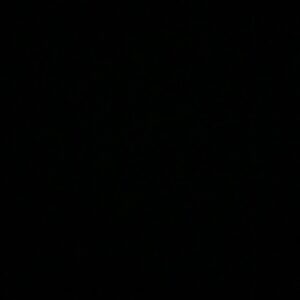Julie Andem Instagram - blacklivesmatter.com #blackouttuesday 🖤🖤🖤
