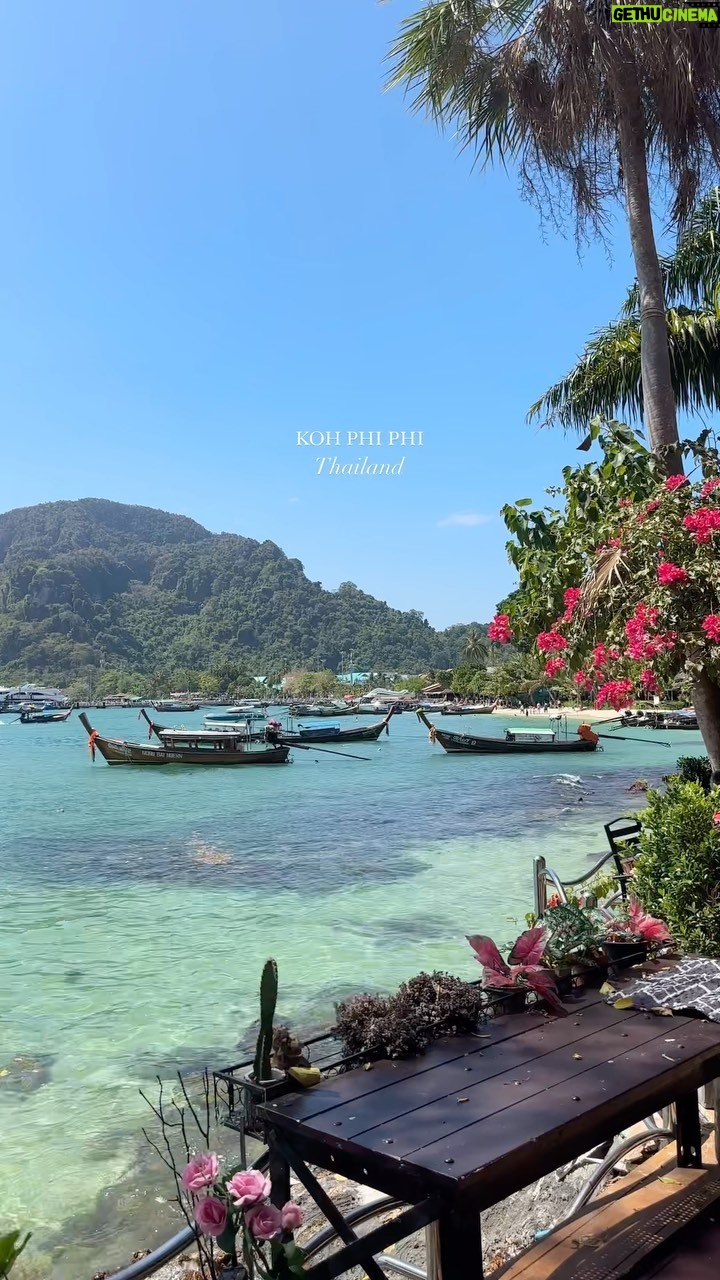 Julie-Anne Ho Instagram - Si la Thaïlande est sur ta bucket list stp ne passe pas à côté de ce petit bout de paradis 😭!! Elle a souvent une mauvaise réputation car c’est vrai que ça peut être une île assez festive mais voici mes trucs pour éviter la scène plus « party ». Koh phi phi est une île très touristique, oui, toutefois j’y ai trouvé un charme unique et des paysages à couper le souffle 🫀 - Évite de booker ton séjour à Ton Sai ou Loh Dalum , je te suggère plutôt Long Beach (où on est resté, qui est à 5 mins de Ton Sai en long tail boat ou voiture, nous avions le transport inclu avec notre hôtel, c’est très commun) la plage est magnifique et il y a quelques restaurants à proximité - Sinon je suggère aussi Laem Thong qui est près d’un petit village de pêcheur mais un peu plus isolé de tout le reste - Ton Sai village est tout de même agréable à visiter en journée mais passé 9pm c’est très « hostel party vibe » - Si tu prévois visiter Maya Bay je te suggère de quitter tôt le matin pour éviter la foule (passé 10am c’est très occupé) - Je te suggère aussi de prendre un long tail boat privé pour tes amies et toi, ça rend l’expérience d’autant plus agréable, tu paies aussi par bateau donc plus vous êtes moins c’est dispendieux. (Nous avons payé environ 100$ pour notre embarcation) Hope it helps 🥹🫶🏼 #kohphiphi #phiphiisland #thailandtravel #mustvisit #travelgram #travel #reels #beautifuldestinations