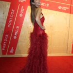 Julie-Anne Ho Instagram - What an honor and a dream to have been able to wear this custom dress by Montreal designer @ifigeniastyle from @mylamarque for the 2024 edition of @printempsmac and the first ever #MacGala ❤️❤️❤️ thank you to everyone involved for this vision @ifigeniastyle @mable_cantisani @imjuliasara I’ll never get over this moment!! 😭 Special thanks to the @fsmontreal for the hospitality 🥹 Hair: @kevinskyle__kk Nails: @nails_byelliek Pictures: @aidanc.m Mua @beautybyvirginie