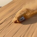 Julie-Anne Ho Instagram - Bits & pieces de la semaine dernière 🌞