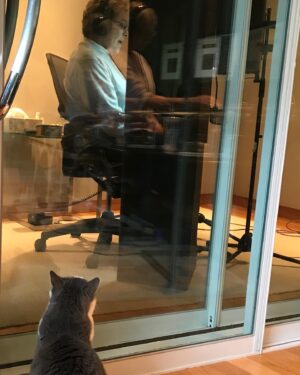 Julie Andrews Instagram - Recording the audiobook for the new memoir...hoping that our listeners will enjoy it as much as Zoe the cat seems to be!