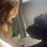 Julie Benz Instagram – The best therapist has 4 legs and fur #dogtherapyisthebesttherapy #bouviersofinstagram #mybear @mathes_bdf