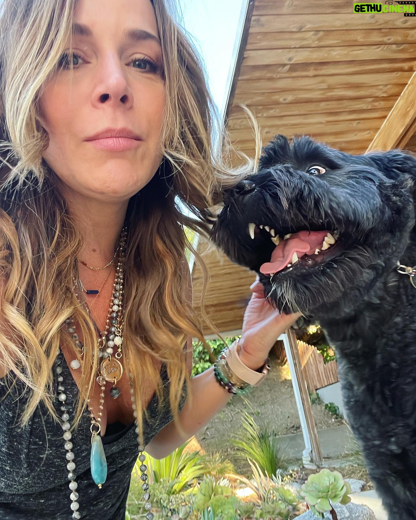 Julie Benz - 5.2K Likes - When you have 4 dogs…. EVERYDAY IS #NATIONALDOGDAY 😱🤣 which proves that my house is run by the dogs 🐻 🐻 🐶 🐶 I’m just here to feed and scoop the poop 💩 photo #2 is typical of me and ozzy 🤪 #mylifeisrunbydogs #mypack #bouviersofinstagram #havaneseofinstagram #morkiesofinstagram
