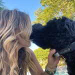 Julie Benz Instagram – When you have 4 dogs…. EVERYDAY IS #NATIONALDOGDAY 😱🤣 which proves that my house is run by the dogs 🐻 🐻 🐶 🐶 I’m just here to feed and scoop the poop 💩 photo #2 is typical of me and ozzy 🤪 #mylifeisrunbydogs #mypack #bouviersofinstagram #havaneseofinstagram #morkiesofinstagram