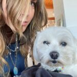 Julie Benz Instagram – When you have 4 dogs…. EVERYDAY IS #NATIONALDOGDAY 😱🤣 which proves that my house is run by the dogs 🐻 🐻 🐶 🐶 I’m just here to feed and scoop the poop 💩 photo #2 is typical of me and ozzy 🤪 #mylifeisrunbydogs #mypack #bouviersofinstagram #havaneseofinstagram #morkiesofinstagram
