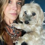 Julie Benz Instagram – When you have 4 dogs…. EVERYDAY IS #NATIONALDOGDAY 😱🤣 which proves that my house is run by the dogs 🐻 🐻 🐶 🐶 I’m just here to feed and scoop the poop 💩 photo #2 is typical of me and ozzy 🤪 #mylifeisrunbydogs #mypack #bouviersofinstagram #havaneseofinstagram #morkiesofinstagram