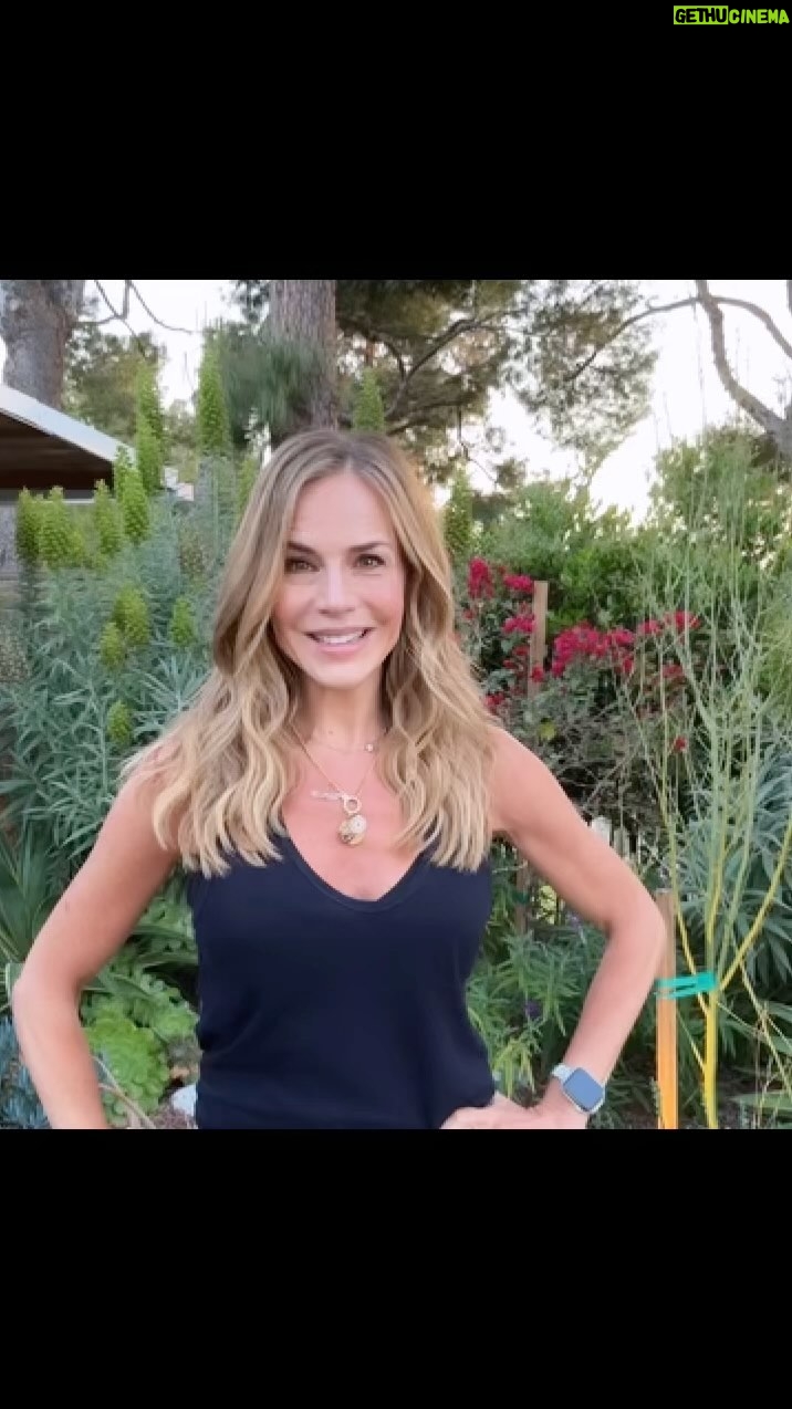 Julie Benz Instagram - Hey Buffy/Angel fans🌟 Your 3 favorite baddies - @juliet_landau @clarekramerofficial and me 🙋♀️ - will be at the Hellmouth Con June 15 in Los Angeles at the Sunnydale Highschool location 🎉 visit fandomcharities.org/hellmouthcon for more information… hope to see you there 💋🧛♀️ @hellmouthevents