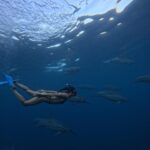 Julie Bertin Instagram – 📍 @vitamin_sea_mauritius 

« J’ai réalisé mon plus grand rêve de petite fille … nager avec les dauphins dans leur milieu naturel. Je ne saurais comment vous expliquer cette sensation, j’avais l’impression de faire partie de leur gang 😅. Ce moment magique restera pour toujours gravé dans ma mémoire .. Merci à Brice & Morgan pour cette journée, pour le partage de vos connaissances .. 🤍).

*invitation.