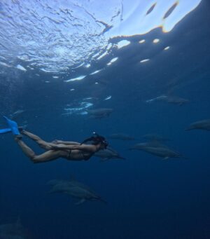 Julie Bertin Instagram - 📍 @vitamin_sea_mauritius 

« J’ai réalisé mon plus grand rêve de petite fille … nager avec les dauphins dans leur milieu naturel. Je ne saurais comment vous expliquer cette sensation, j’avais l’impression de faire partie de leur gang 😅. Ce moment magique restera pour toujours gravé dans ma mémoire .. Merci à Brice & Morgan pour cette journée, pour le partage de vos connaissances .. 🤍).

*invitation.
