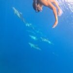 Julie Bertin Instagram – 📍 @vitamin_sea_mauritius 

« J’ai réalisé mon plus grand rêve de petite fille … nager avec les dauphins dans leur milieu naturel. Je ne saurais comment vous expliquer cette sensation, j’avais l’impression de faire partie de leur gang 😅. Ce moment magique restera pour toujours gravé dans ma mémoire .. Merci à Brice & Morgan pour cette journée, pour le partage de vos connaissances .. 🤍).

*invitation.
