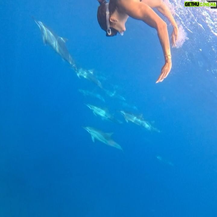 Julie Bertin - 6.7K Likes - 📍 @vitamin_sea_mauritius
« J’ai réalisé mon plus grand rêve de petite fille … nager avec les dauphins dans leur milieu naturel. Je ne saurais comment vous expliquer cette sensation, j’avais l’impression de faire partie de leur gang 😅. Ce moment magique restera pour toujours gravé dans ma mémoire .. Merci à Brice & Morgan pour cette journée, pour le partage de vos connaissances .. 🤍).
*invitation.
