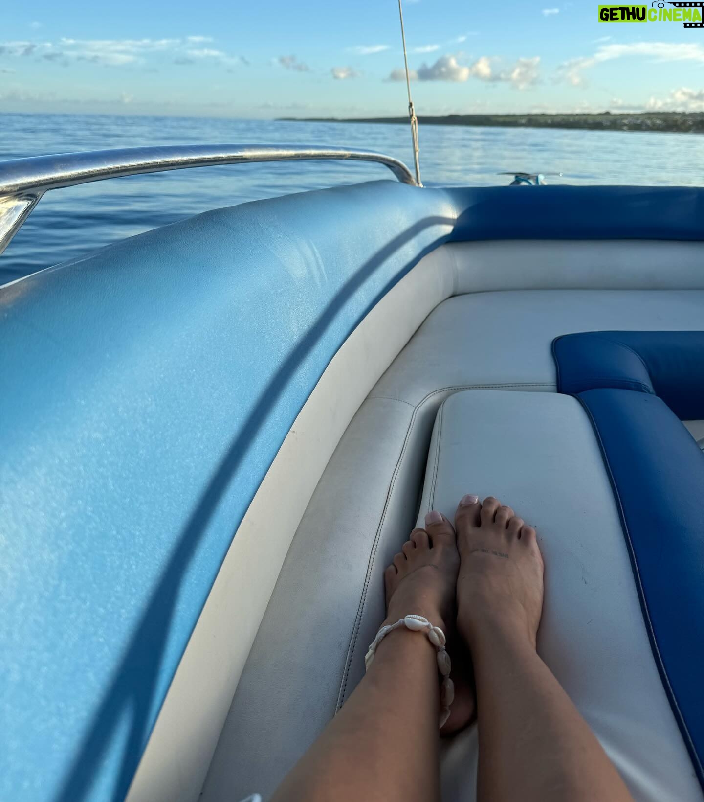 Julie Bertin - 6.7K Likes - 📍 @vitamin_sea_mauritius
« J’ai réalisé mon plus grand rêve de petite fille … nager avec les dauphins dans leur milieu naturel. Je ne saurais comment vous expliquer cette sensation, j’avais l’impression de faire partie de leur gang 😅. Ce moment magique restera pour toujours gravé dans ma mémoire .. Merci à Brice & Morgan pour cette journée, pour le partage de vos connaissances .. 🤍).
*invitation.
