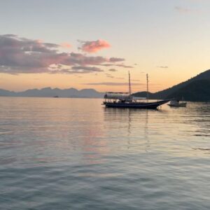 Julie Bertin Instagram - 📍Ilha grande, Angra Dos Reis.

« Les jolies choses ne sont jamais parfaite.. 🌸 » 

🫀, à chaque nouveau Caroussel, mon cœur se sert cette ambiance me manque déjà tellement !! Je n’ai même pas d’inspiration aujourd’hui, je suis nostalgique .. .